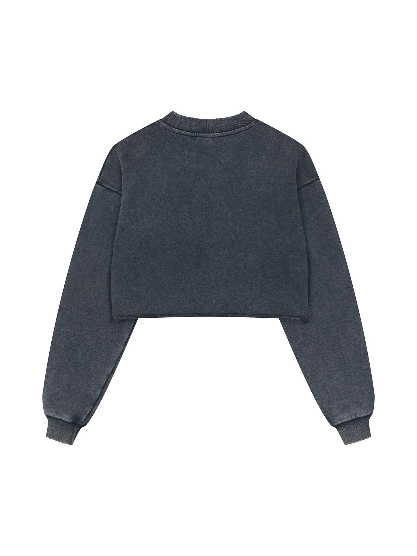 "Relics" Bruce's Beach Cropped Sweatshirt